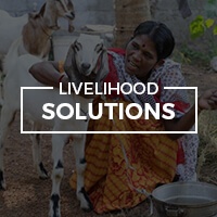 menu-livelihood-solutions